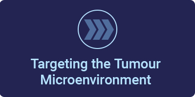 Targeting the Tumour Microenvironment