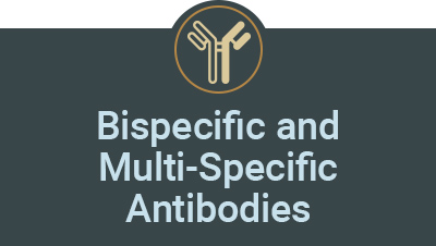 Bispecific and Multi-Specific Antibody Therapeutics