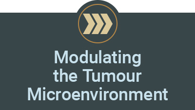 Modulating the Tumour Microenvironment